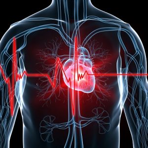 Perbedaan Penyakit Jantung Pada Anak Dan Dewasa